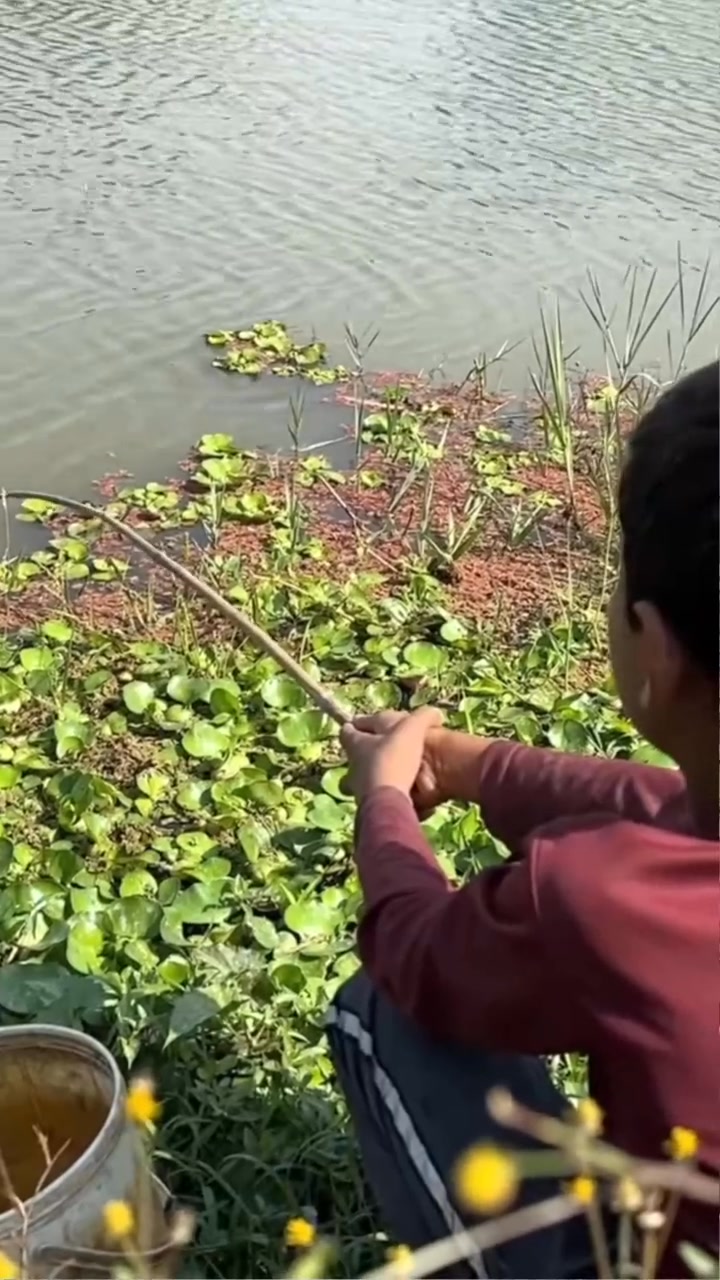 Fishing Video 🎣🐟 Fishing With Hook ~ Catching Fish By Hook~ From ...