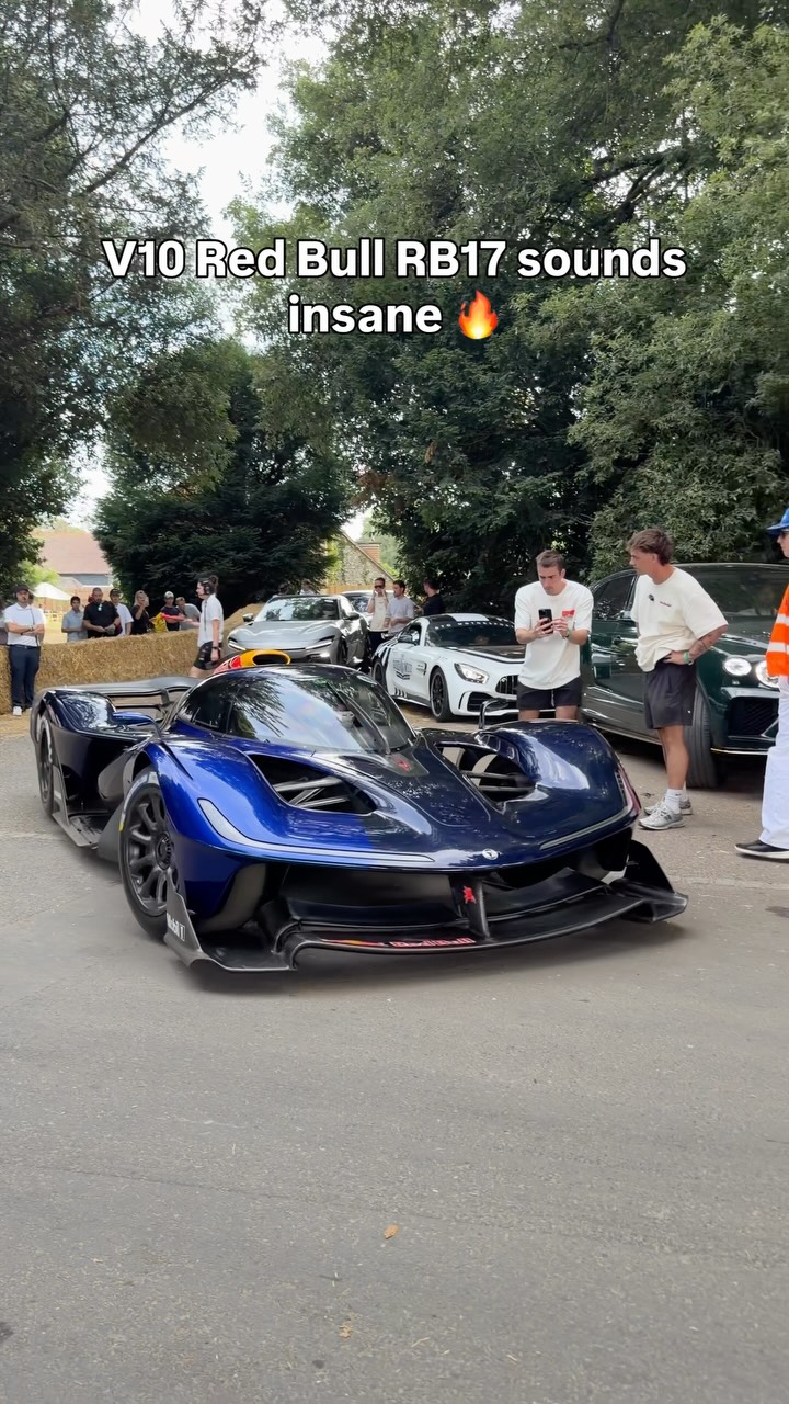 Nearly $7 million, but it looks and sounds the part 😍 #RedBull