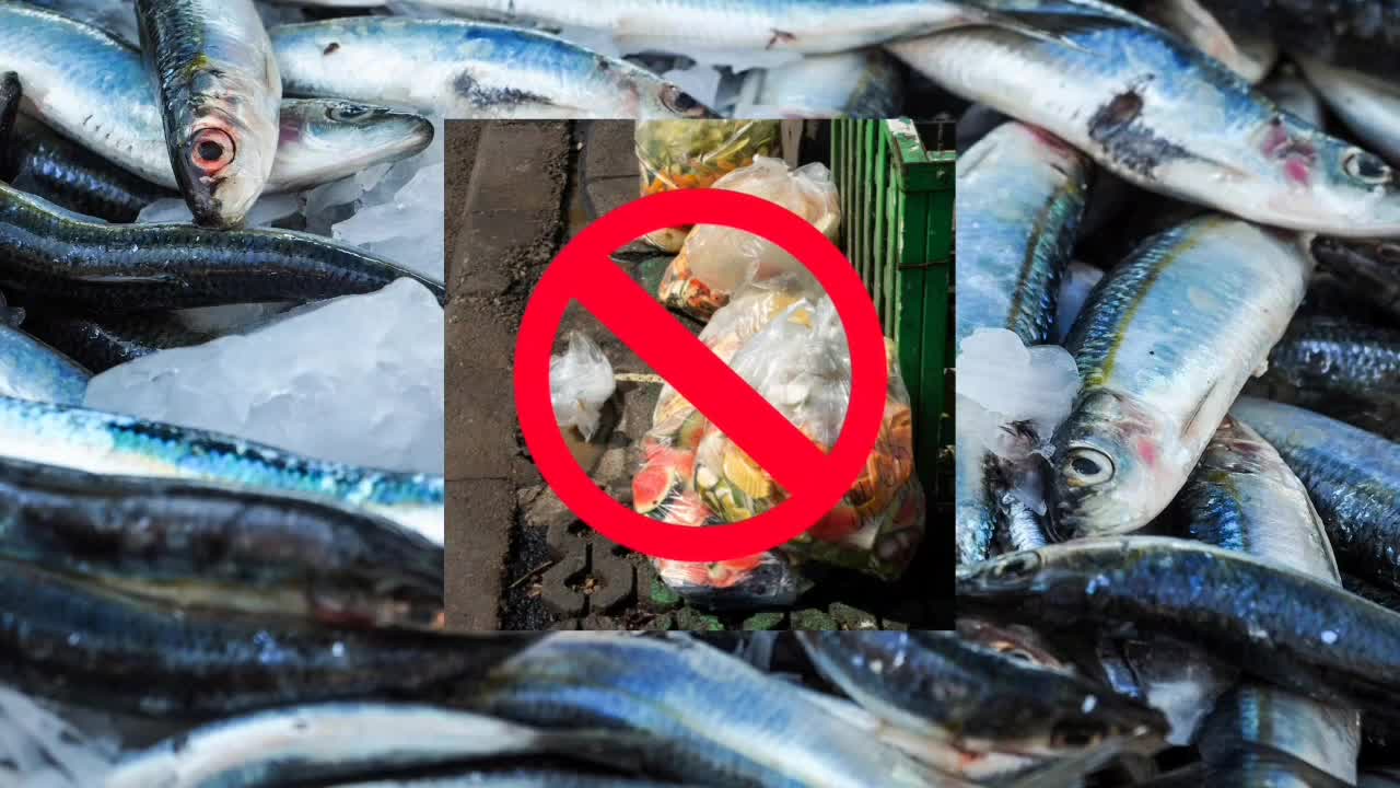 Here are the official entries for the 59th Fish Conservation Week’s ...