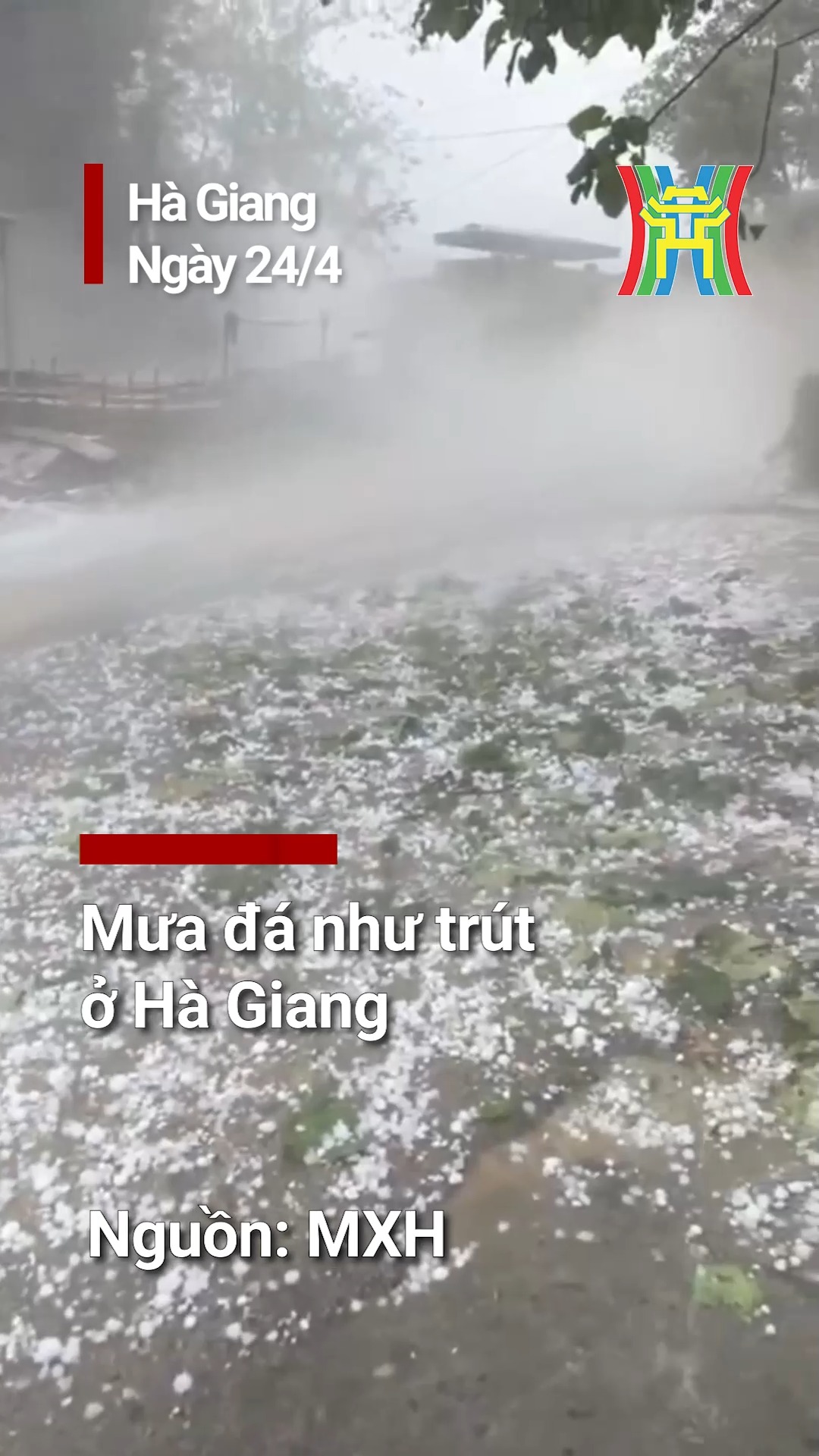 🌧 Mưa đá như trút ở Hà Giang, chiều nay 24/4 #muada #HaGiang #tintuc # ...