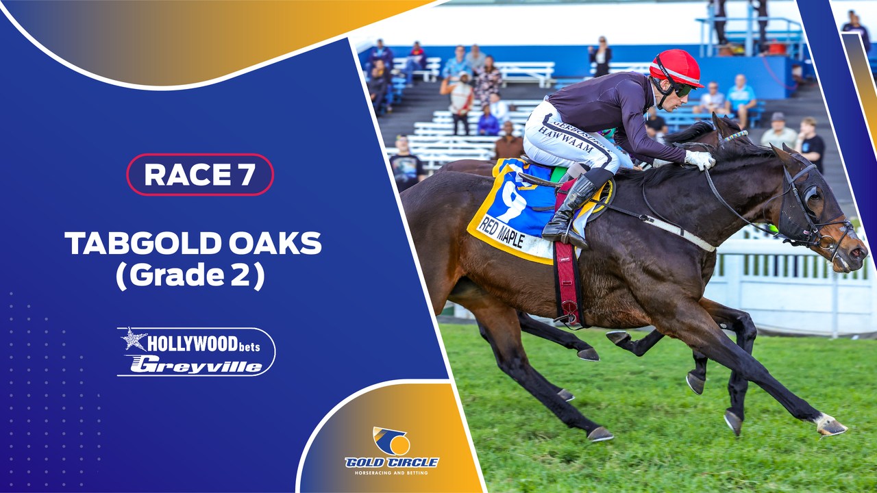 ⭐RED MAPLE gives Sean Tarry a feature double on the day!🥈, REPLAY : Race 7 TABGold OAKS Gr2 (For Fillies and Mares at Weight For Age + Penalties) 2400m Hollywoodbets Greyville R500 000 15 June 2024 ,