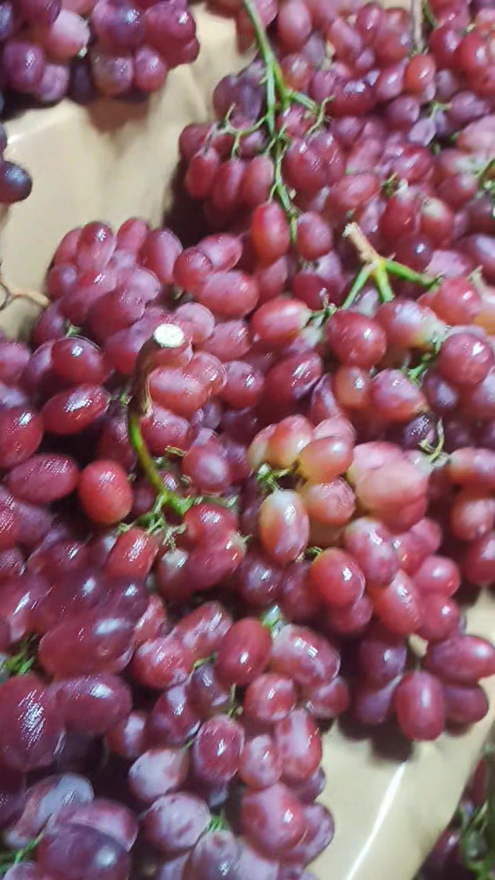 VERY BUGNAW ATONG SEEDLESS GRAPES BAG O PAJUD ABOT🤤 NAA PUD AVAILABLE ...