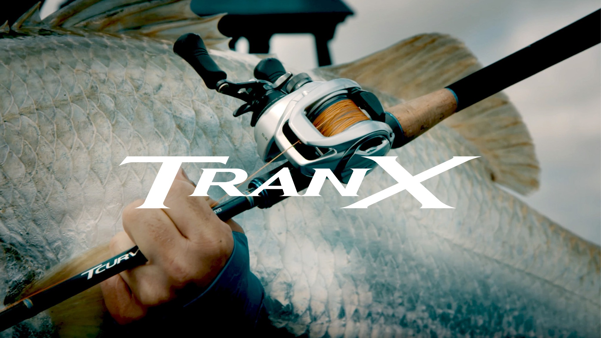 best rod for shimano tranx 300 Jigging World Power Handle & 400 Baitcasting Ree – Tackle World it sets new standards Shimano Tranx 300 B Baitcasting