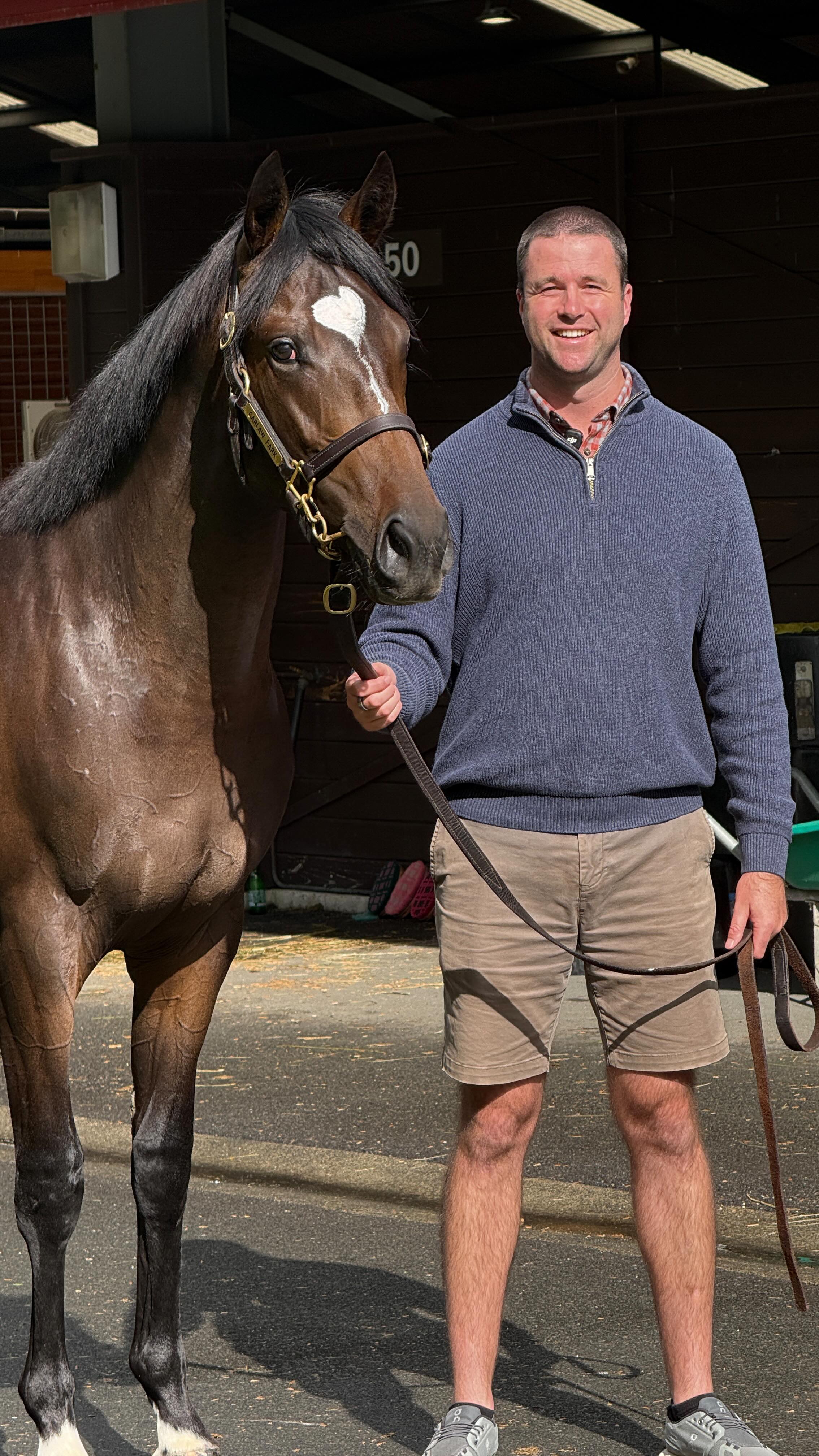 So You Think x Flaming colt 🔥 Like... - Jack Bruce Racing | Facebook