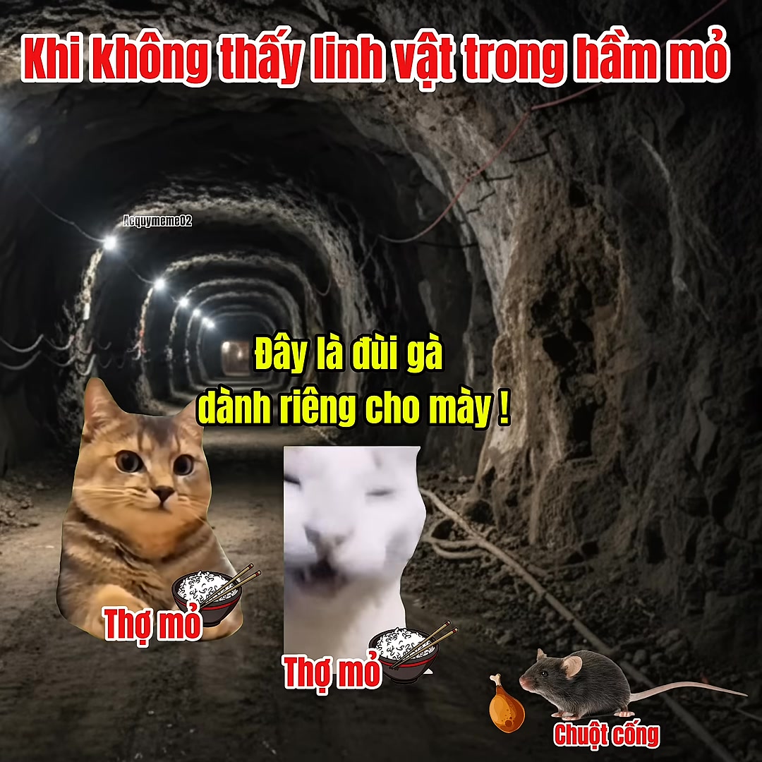 Linh vật của thợ mỏ #meme #cat #pet | Muốn có tiền | Facebook