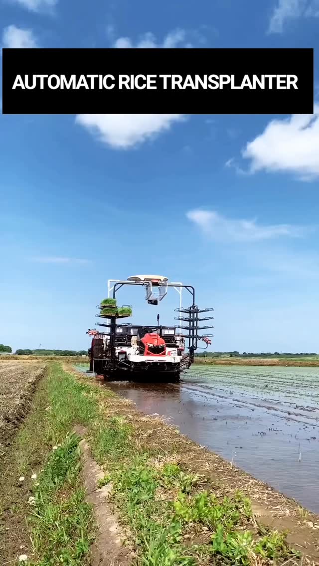 Automatic self propelled rice transplanter machine | Denraks Machinery ...