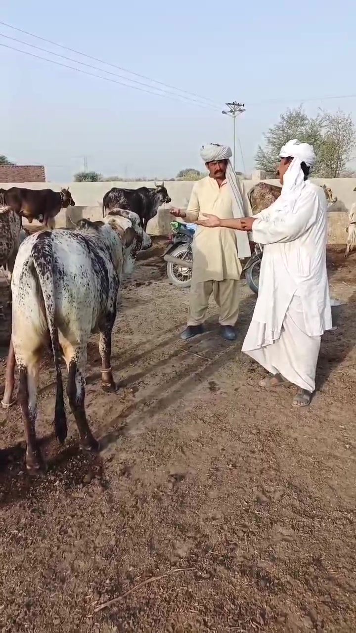 Muhammad Aslam Shaikh on Reels | Facebook