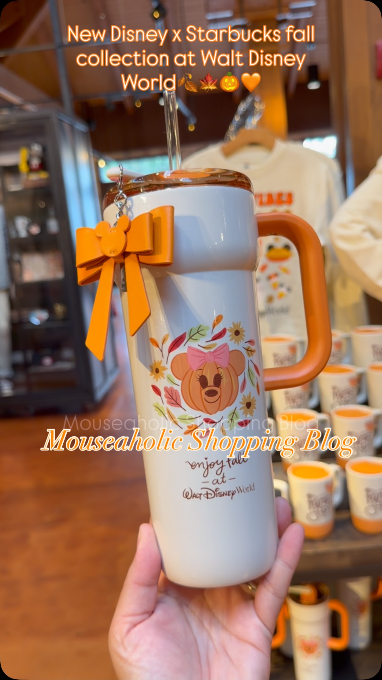 🎃🍁A brand new Disney X Starbucks Fall/Autumn collection has