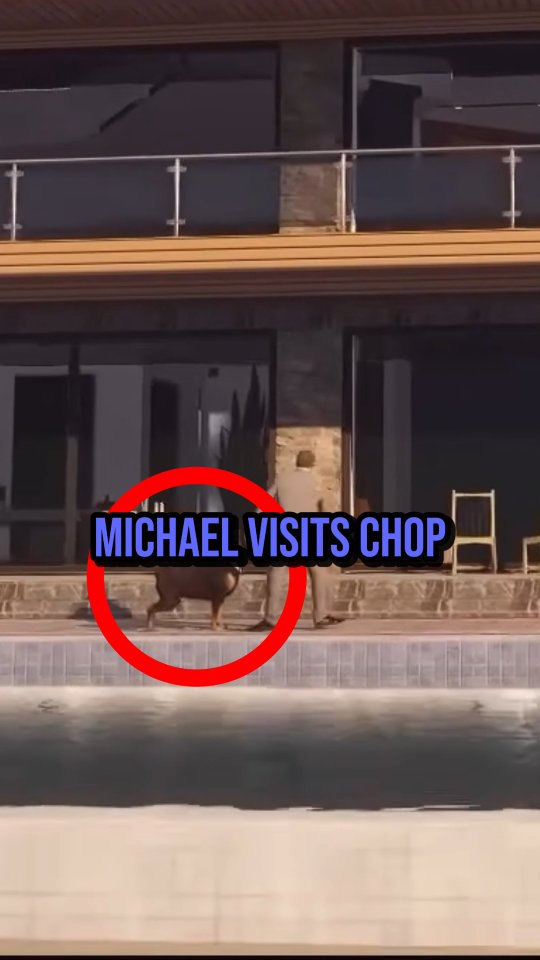 What HAPPENS If Michael Visits Chop? 😳😨 #reels #gta5 | StarLevelHub ...