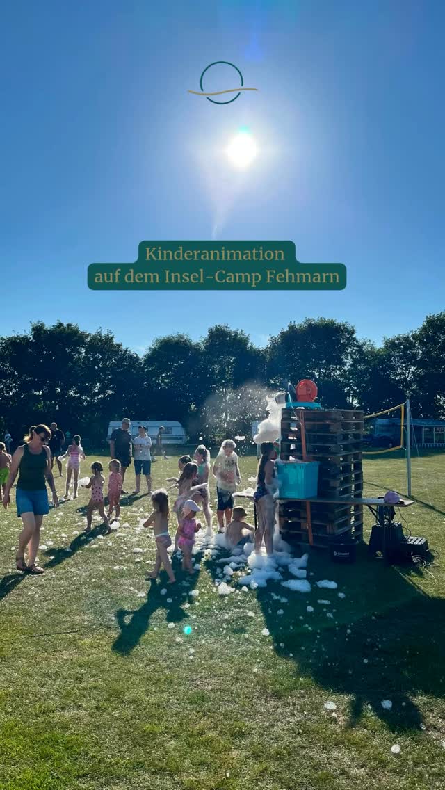 sonnensegel jawoll Markise, Gelenkarmmarkise 300x250 cm, Markisenstoff anthrazit (Profilfarbe: Anthrazit) Sonnenschutz mit Markisenkrubel, Schattenspender, Sonnensegel, UV- beständig & Wasserabweisend Play Time Color:Blue/Black Mirrored Ikea hack in vanlife.