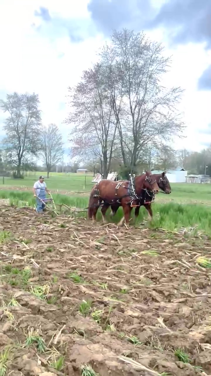 We finally got some rain, time for some fall plowing! | Ty Moore | Facebook