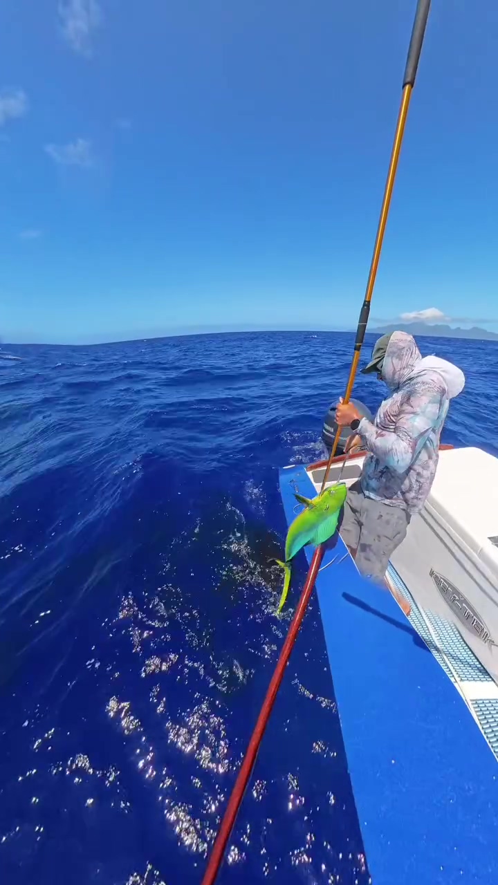 Catching dinner the old-school way!🎣 📹 fishing_rarotonga [IG] | Cook ...