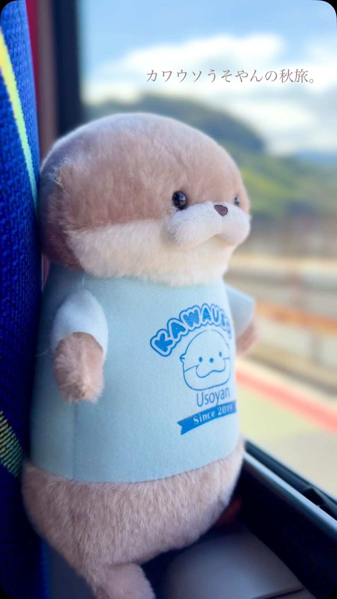 ≪3月の新商品 / New products in March≫ ☆おとぼけケロピョン座椅子