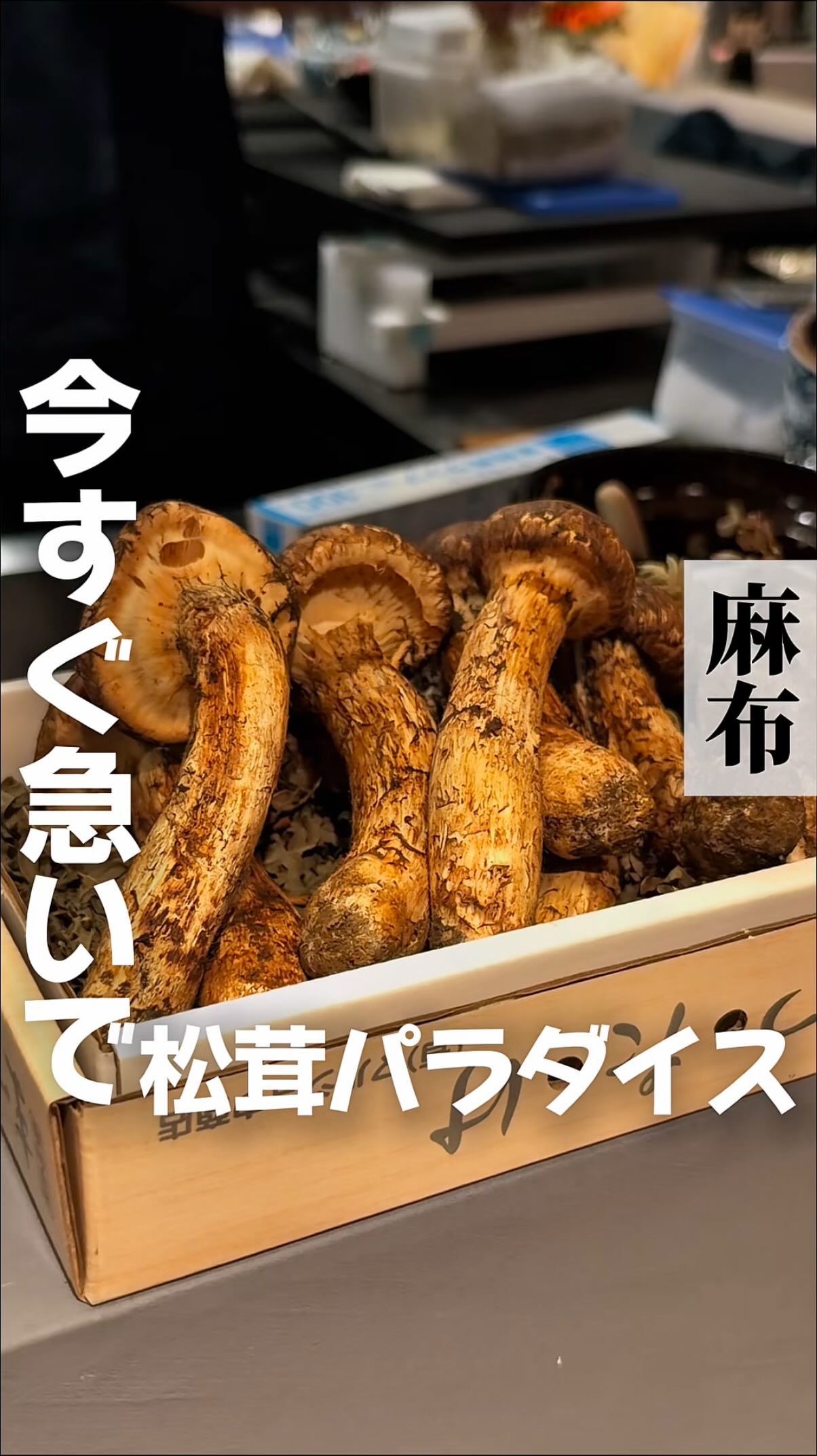 もぐ助