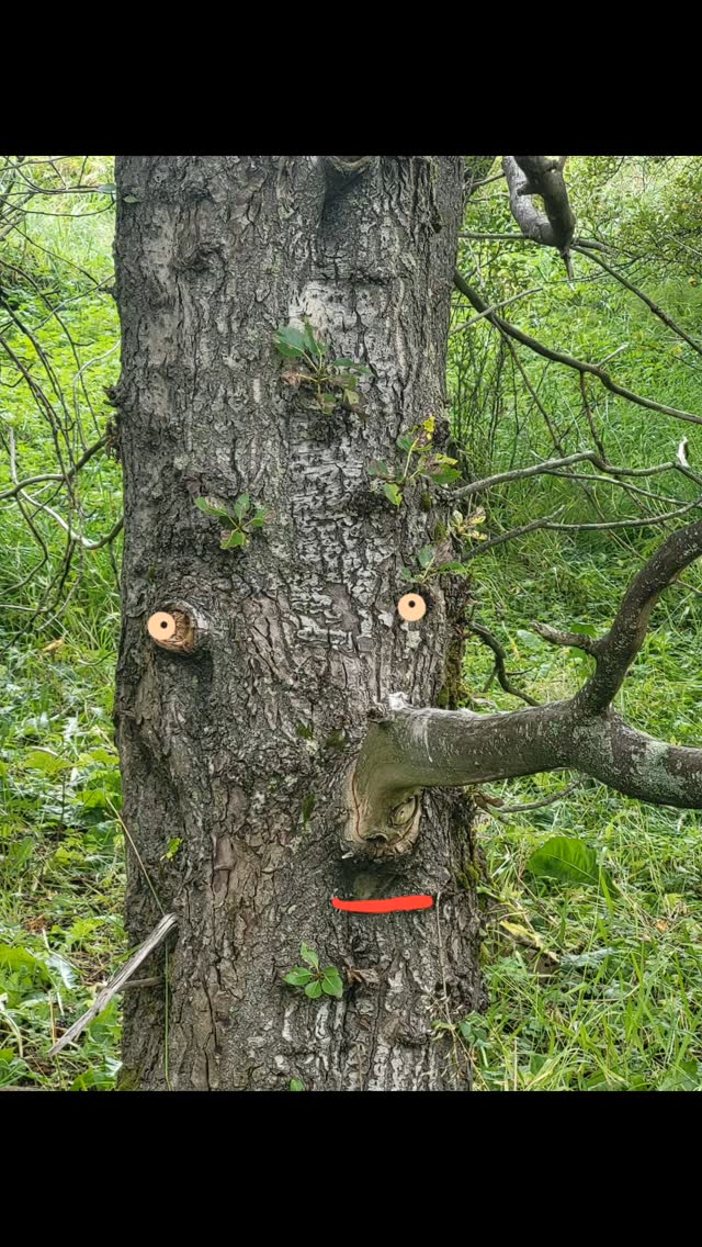 Íris Rós Söring