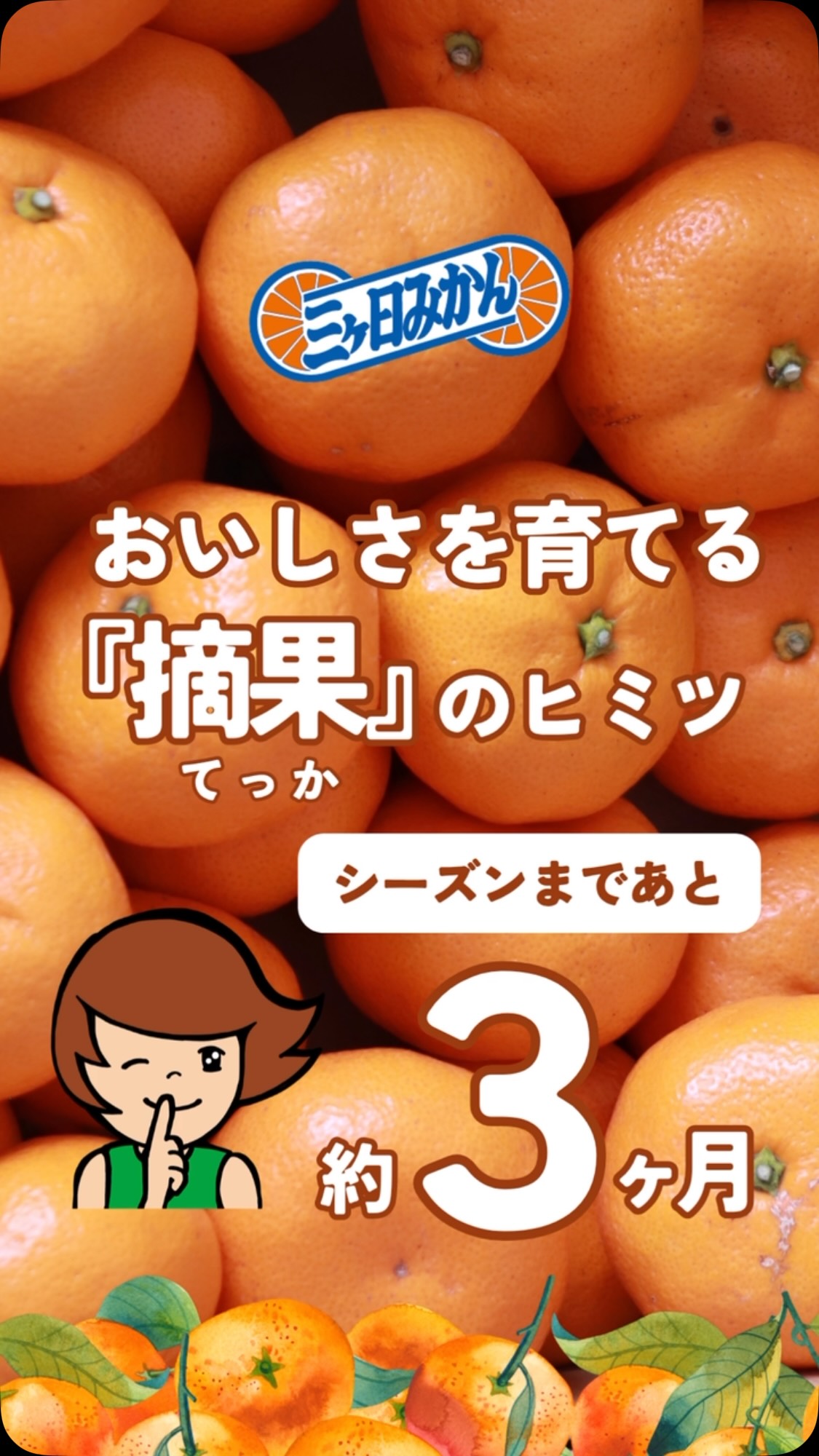 JAみっかび 特販課 | Hamamatsu-shi Shizuoka