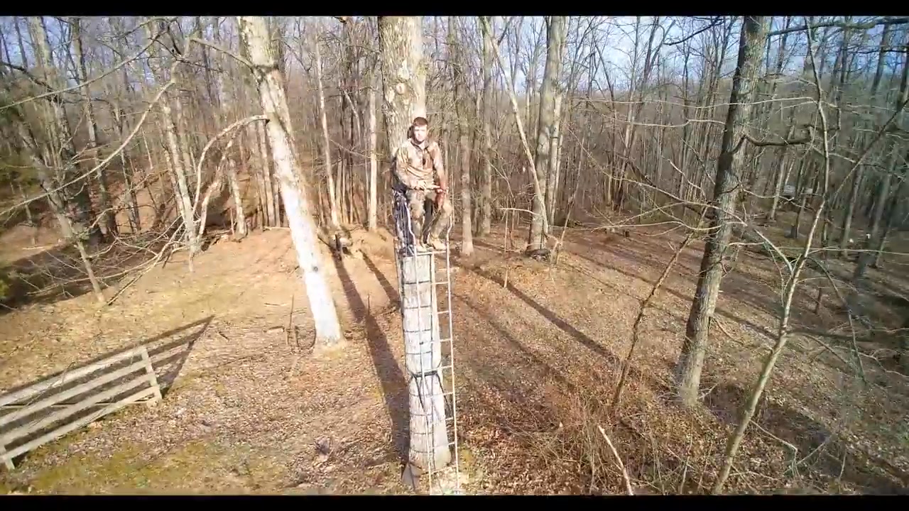 Timberhawk Bows inc. | Heltonville IN