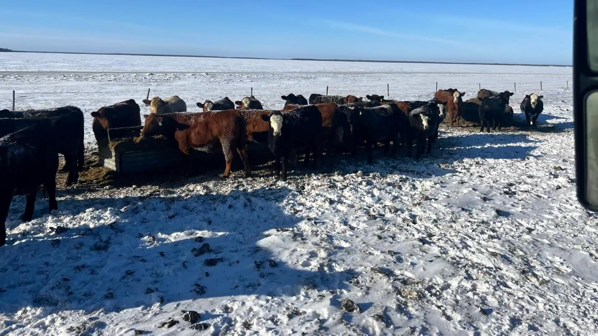 An opportunity of a lifetime this Saturday at 1:00pm Ashern Auction ...