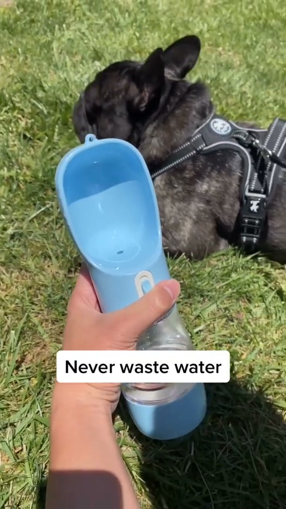 Make every walk and trip easier for your pup 🐾 The Portable Dog