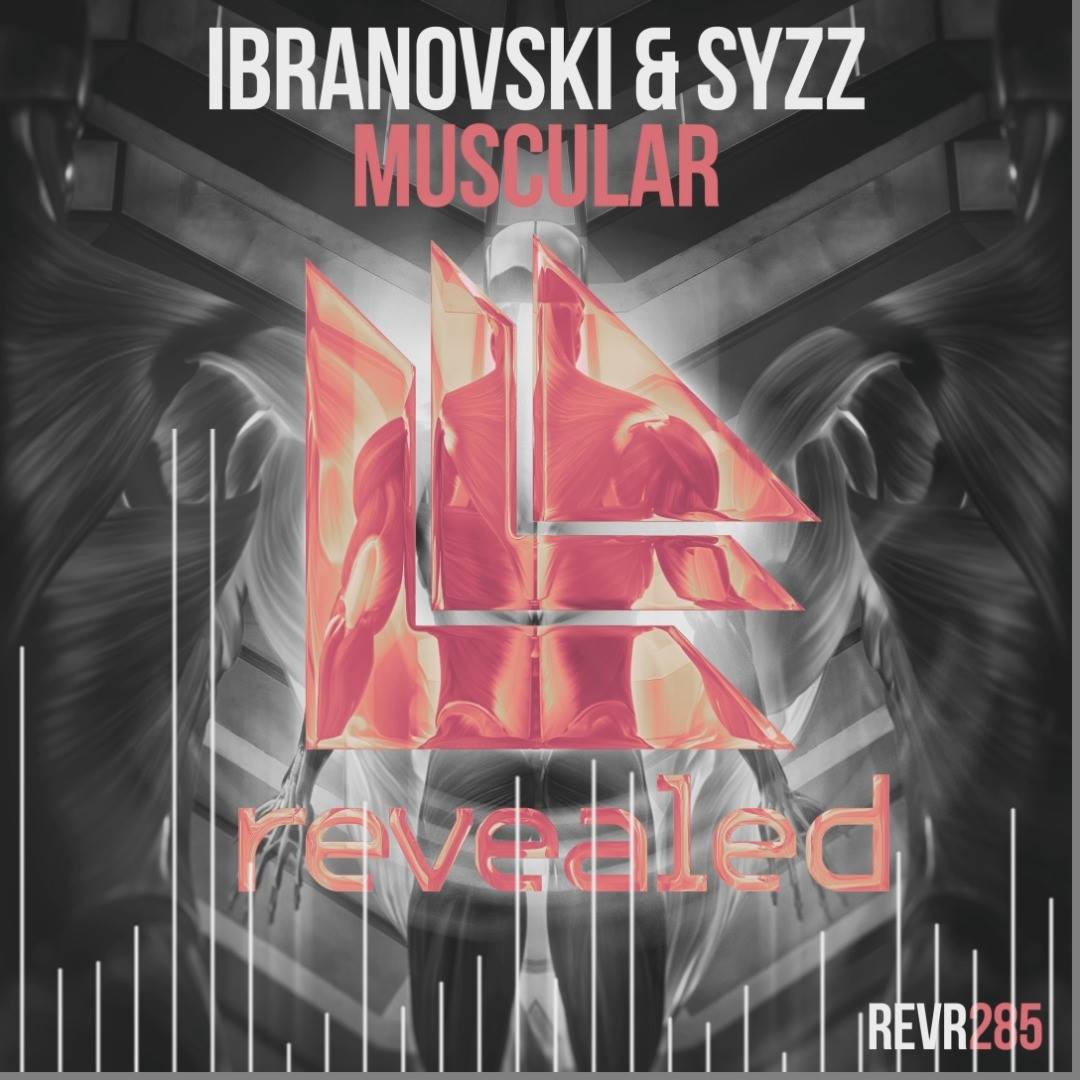 Syzz Ibranovski Syzz Muscular Facebook facebook