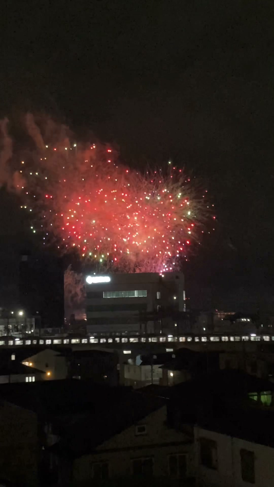 Fireworks fade quickly. 花火は冷えやすい烟花易冷！ | Aurora Reed