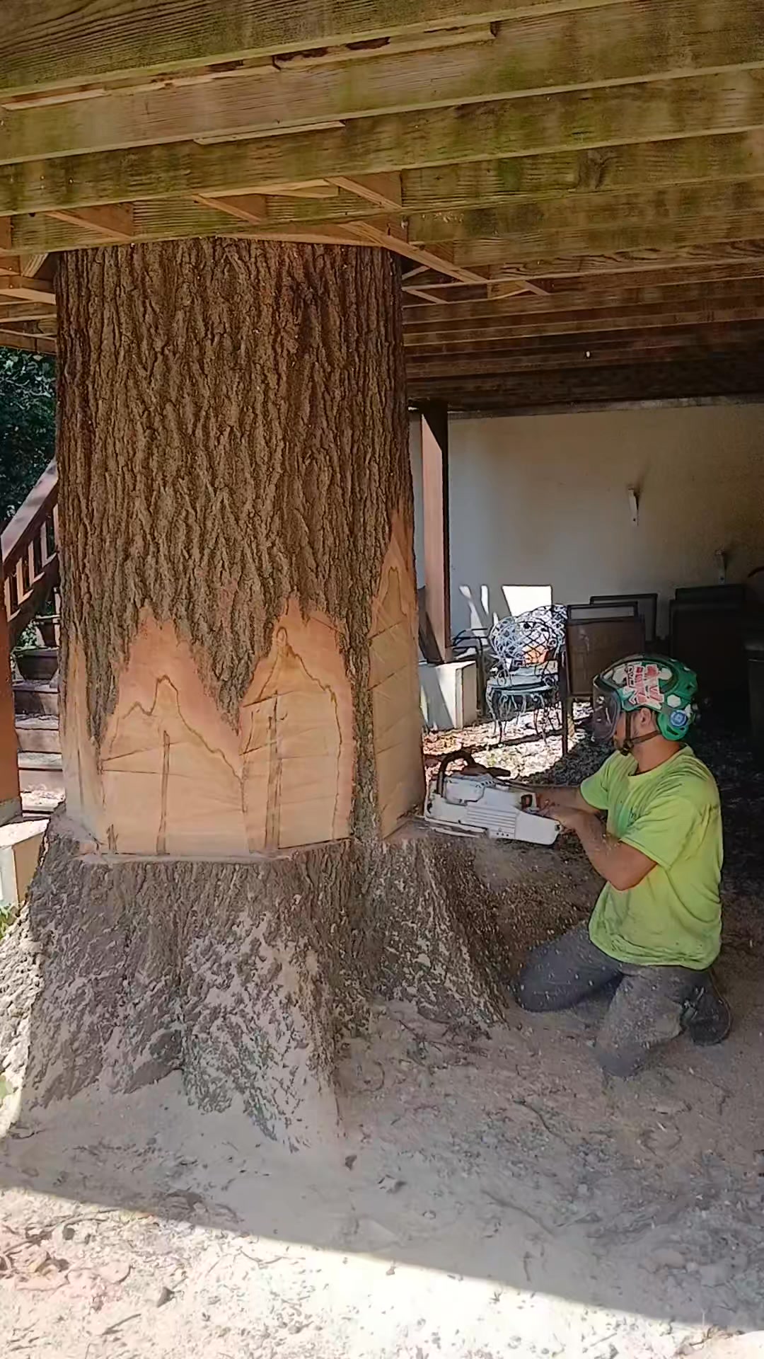 Job well done 👏 ️ #trees #treelife #motivation #sthil #work # ...