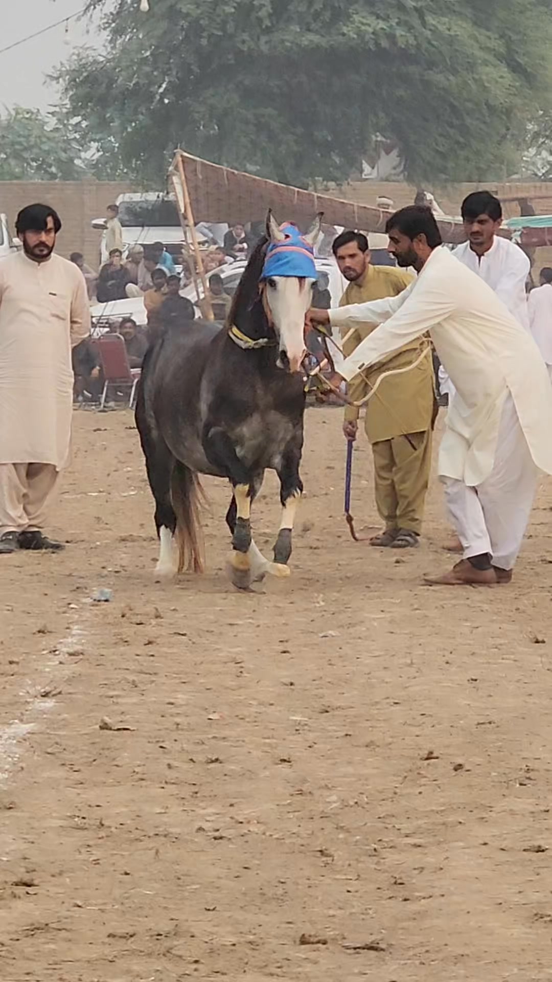 Mela Ghulam Shah Luddan District Vehari