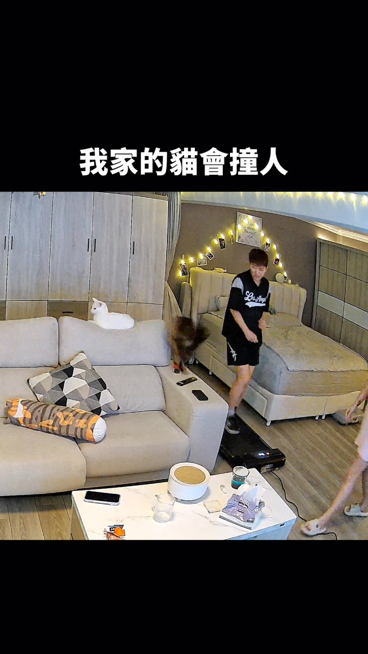 鄭靚歆Jin (@Jin0604) - Photos | Facebook