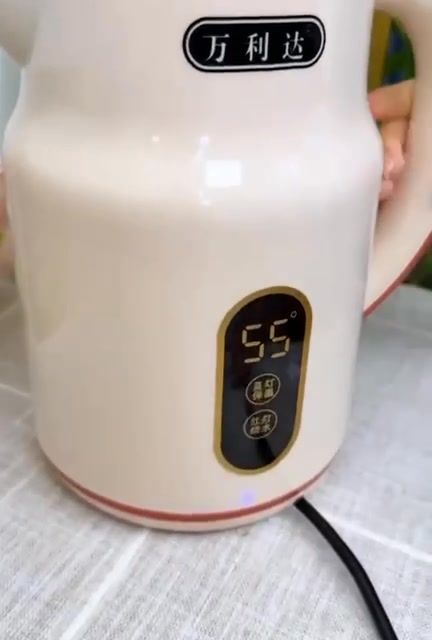 ZX-5303B 3.0L Electric Kettle 电热水壶Cerik Air Elektrik • 3.0L