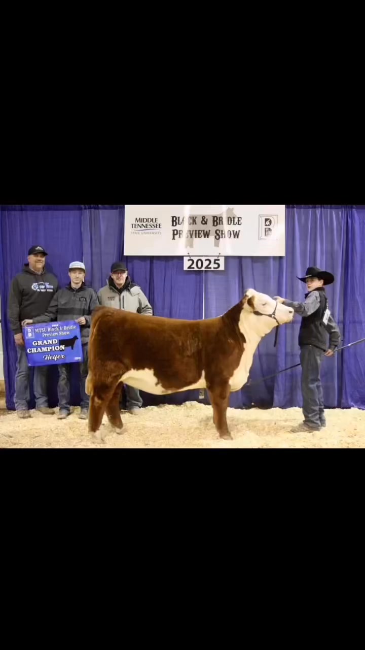 Day Ridge Farm on Reels | Facebook