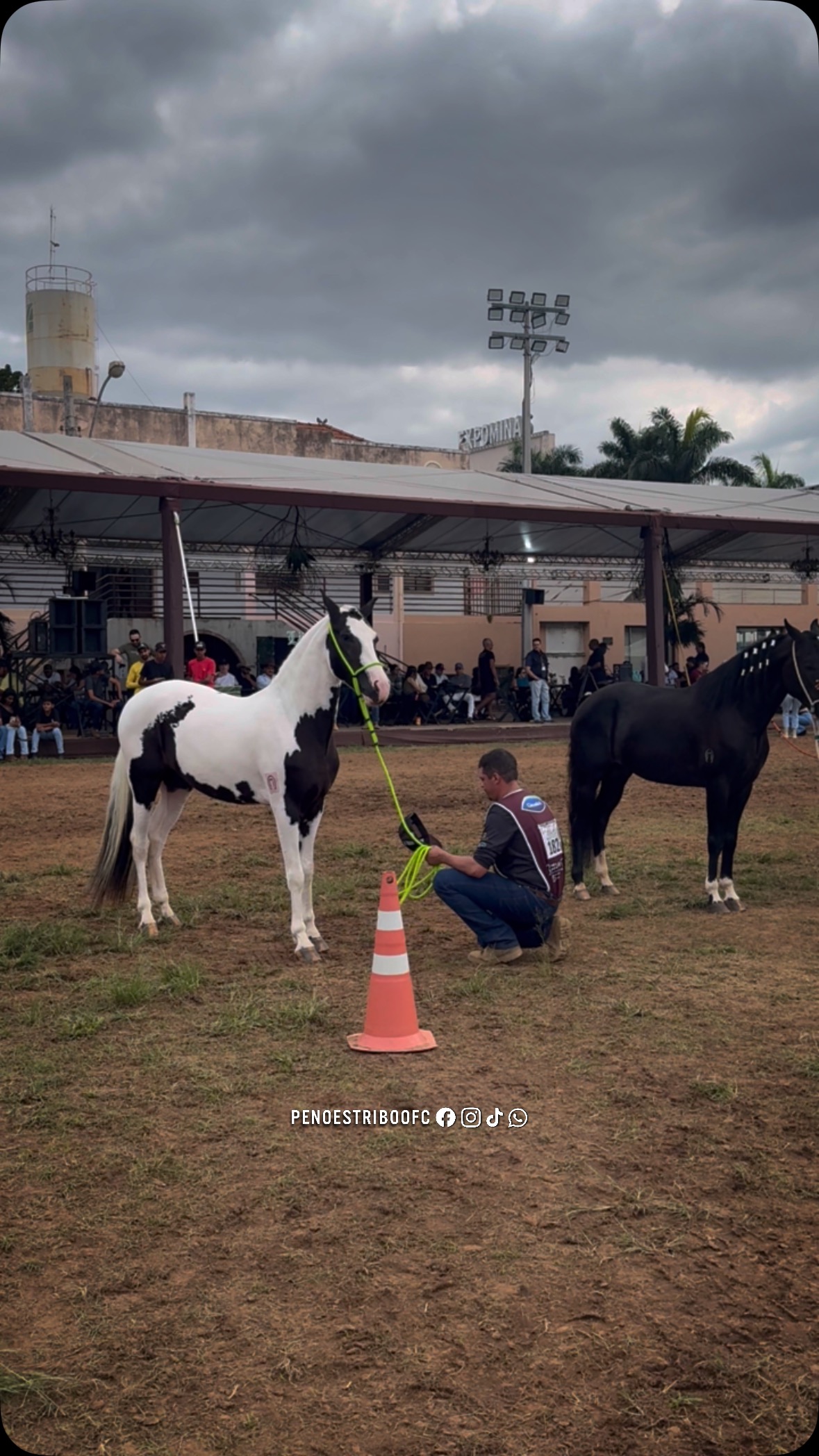 Desejo Da Aruanda📸 Pirata Aruanda X Magica Aruanda Exposição Nacional ...