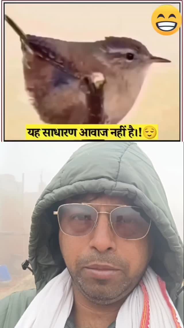Is chidiya Ki awaaz ko jarur sune #shortsvideos #instagram #asifrangrez ...