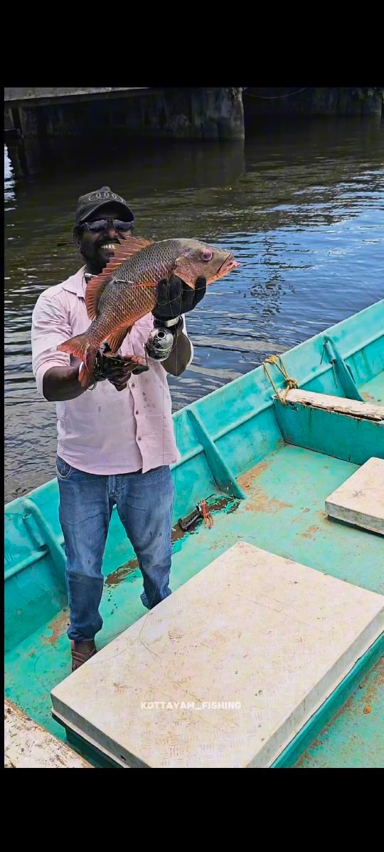 തോട്ടപ്പള്ളി ഹാർബറിൽ നിന്നും തെറ്റി എടുത്ത ചെമ്പല്ലിയെ കണ്ടോ 😍👌 page ...