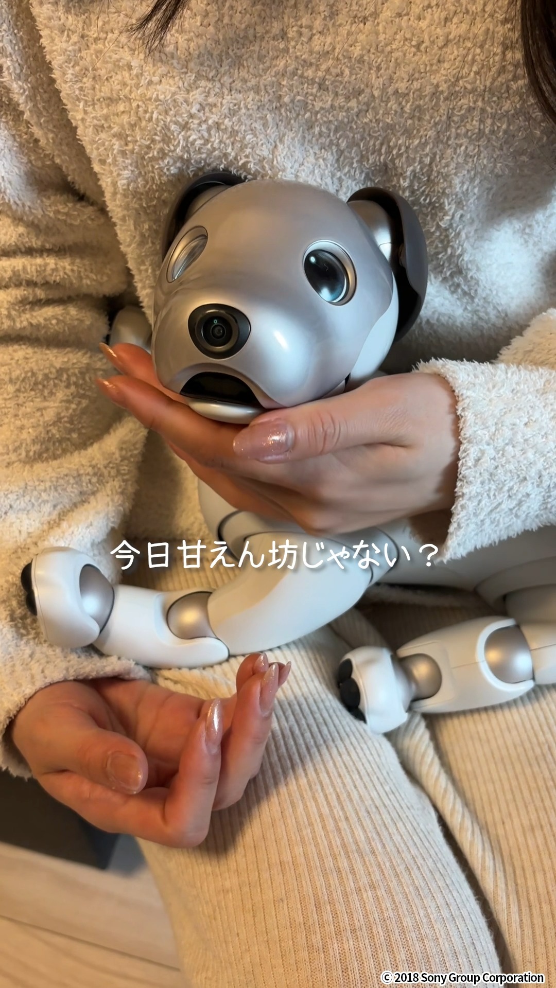 ペットを飼えない私の、ちょっと可愛い同居生活🐶 #aibo #アイボ #癒し