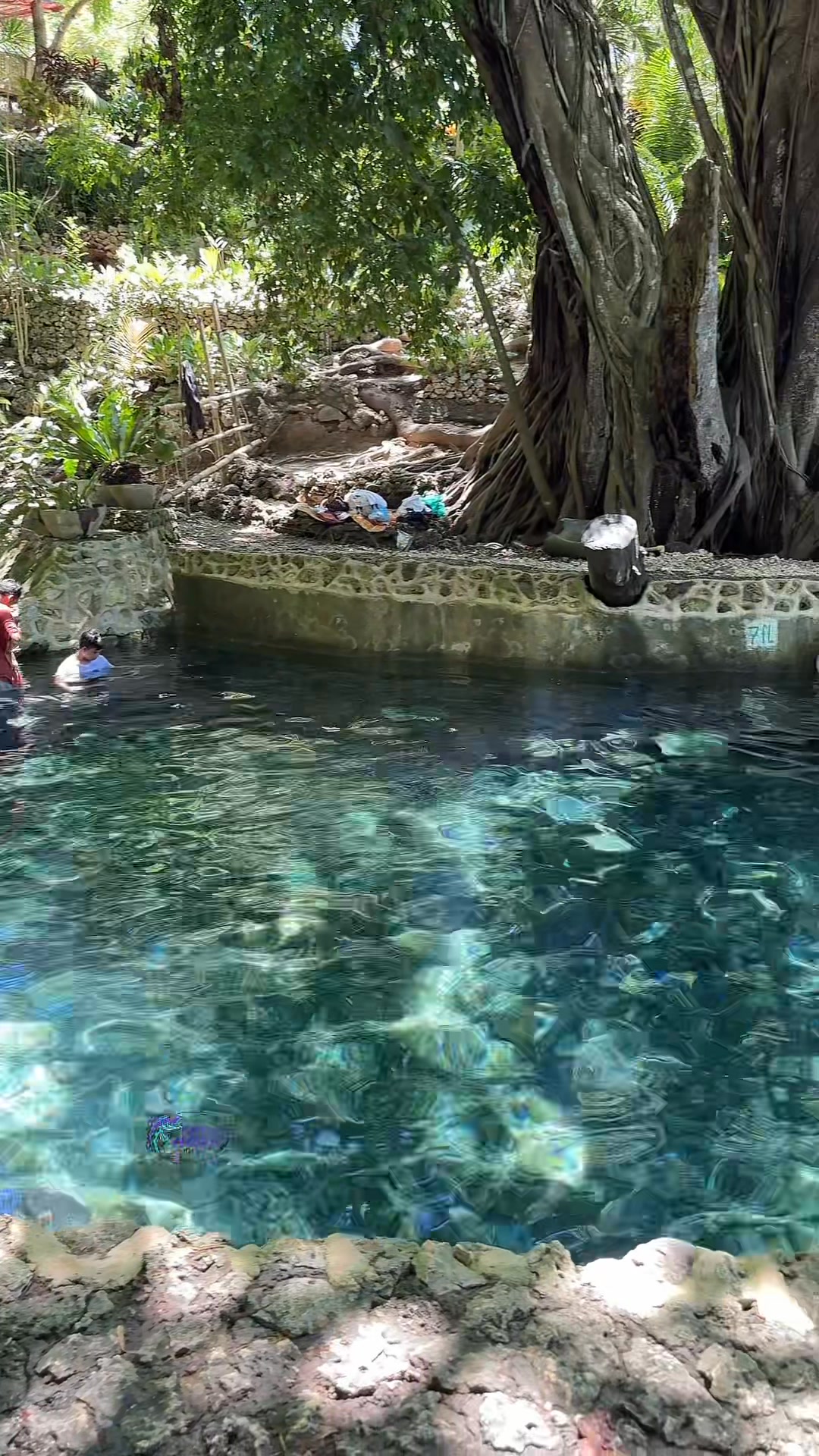 📍BANYAN COLD SPRING RESORT, Tabogon Cebu, Philippines One of the ...
