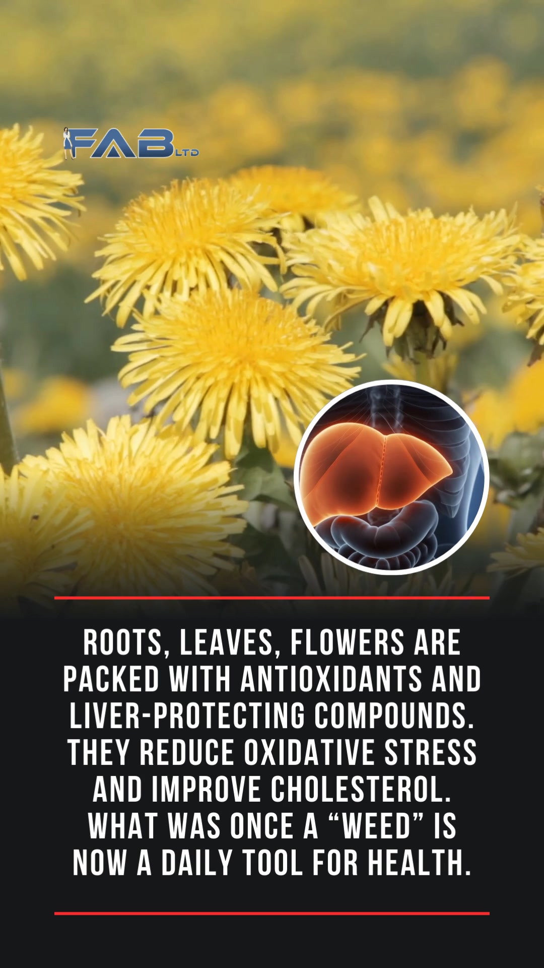 dandlion increase glutathione While dandelion has been traditionally used in various cultures for its supposed health benefits, including liver support, contemporary research offers 'mixed results' #Dandelion #Health #SamanthaRuthPrabhu Reported by: Himani Chandna https://www oral peptides