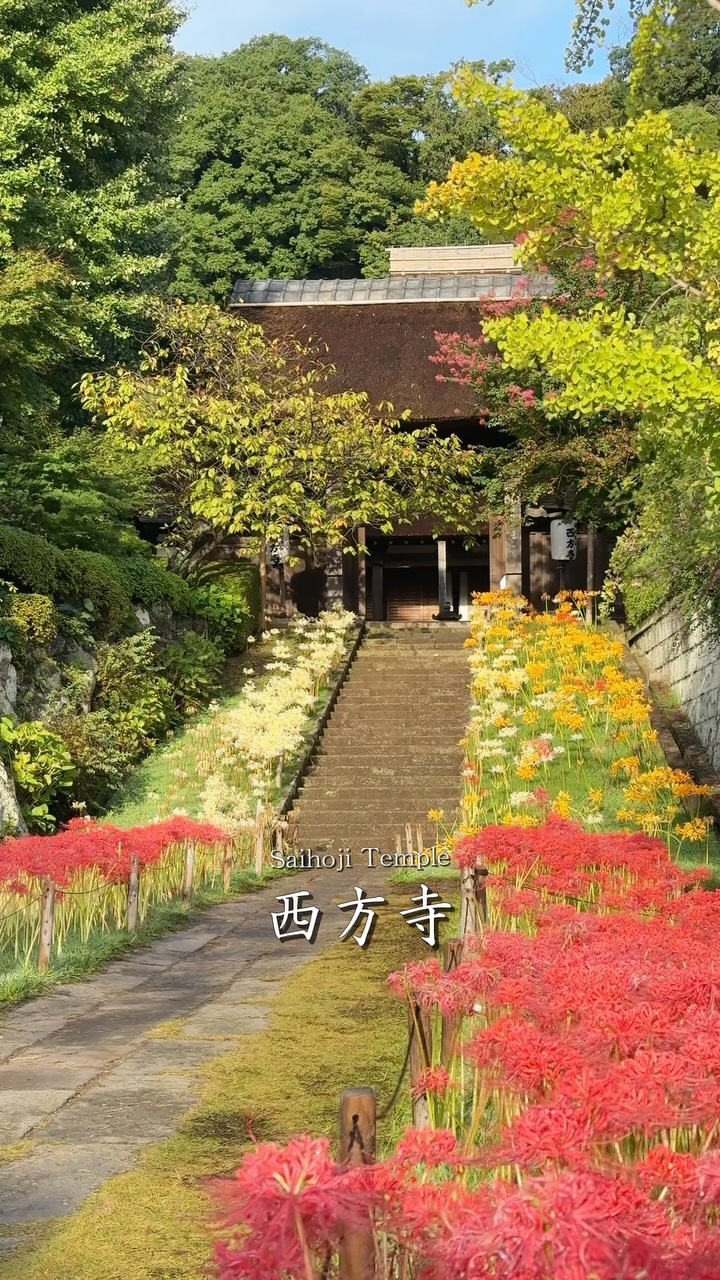 景徳鎮 陳敏 花瓶 東京任天堂買的皮克敏花瓶，真的好好好可愛🥹 去媽媽花園裡偷摘植物插