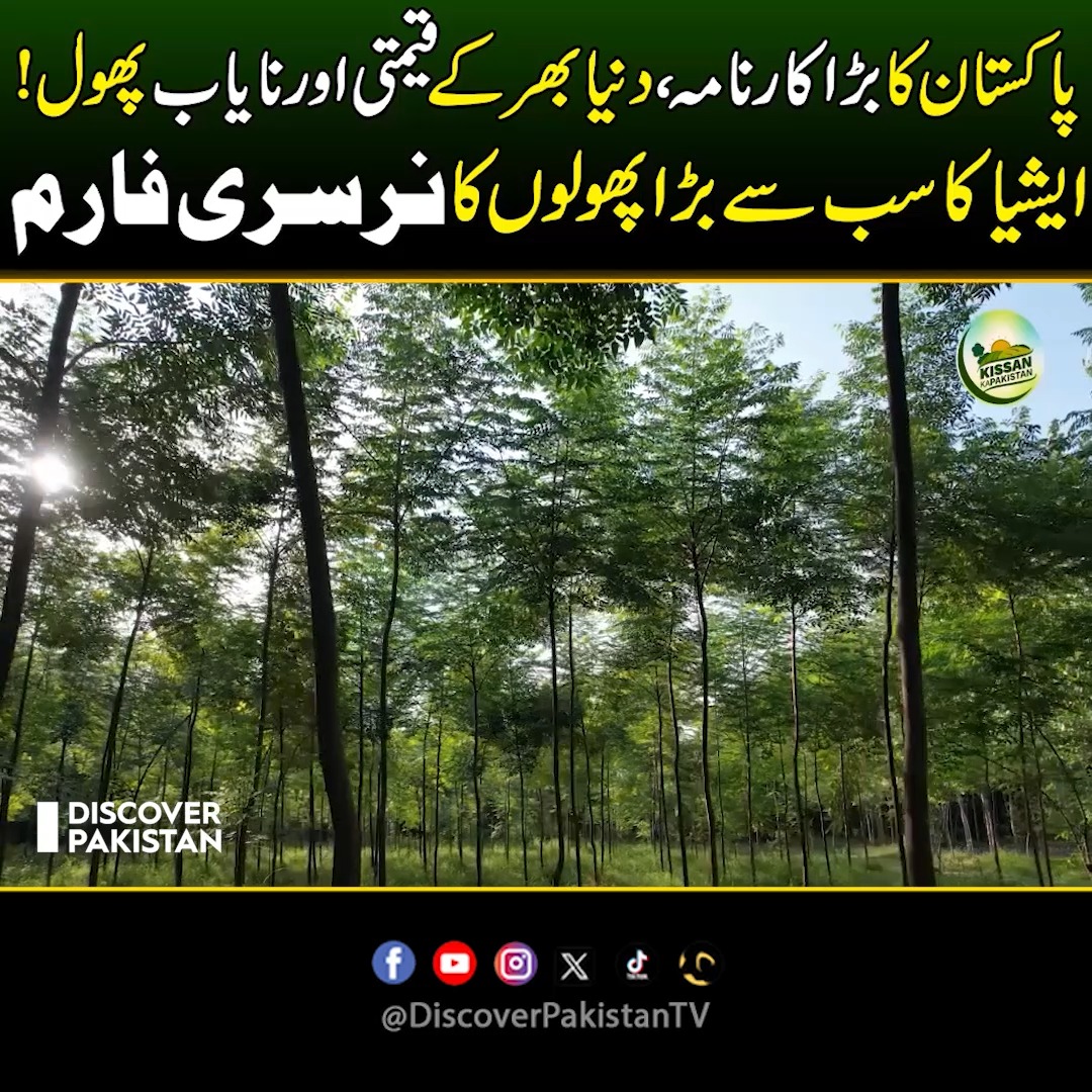 پاکستان کا بڑا کارنامہ، دنیا بھر کےقیمتی اور نایاب پھول! ایشیا کا سب سے ...
