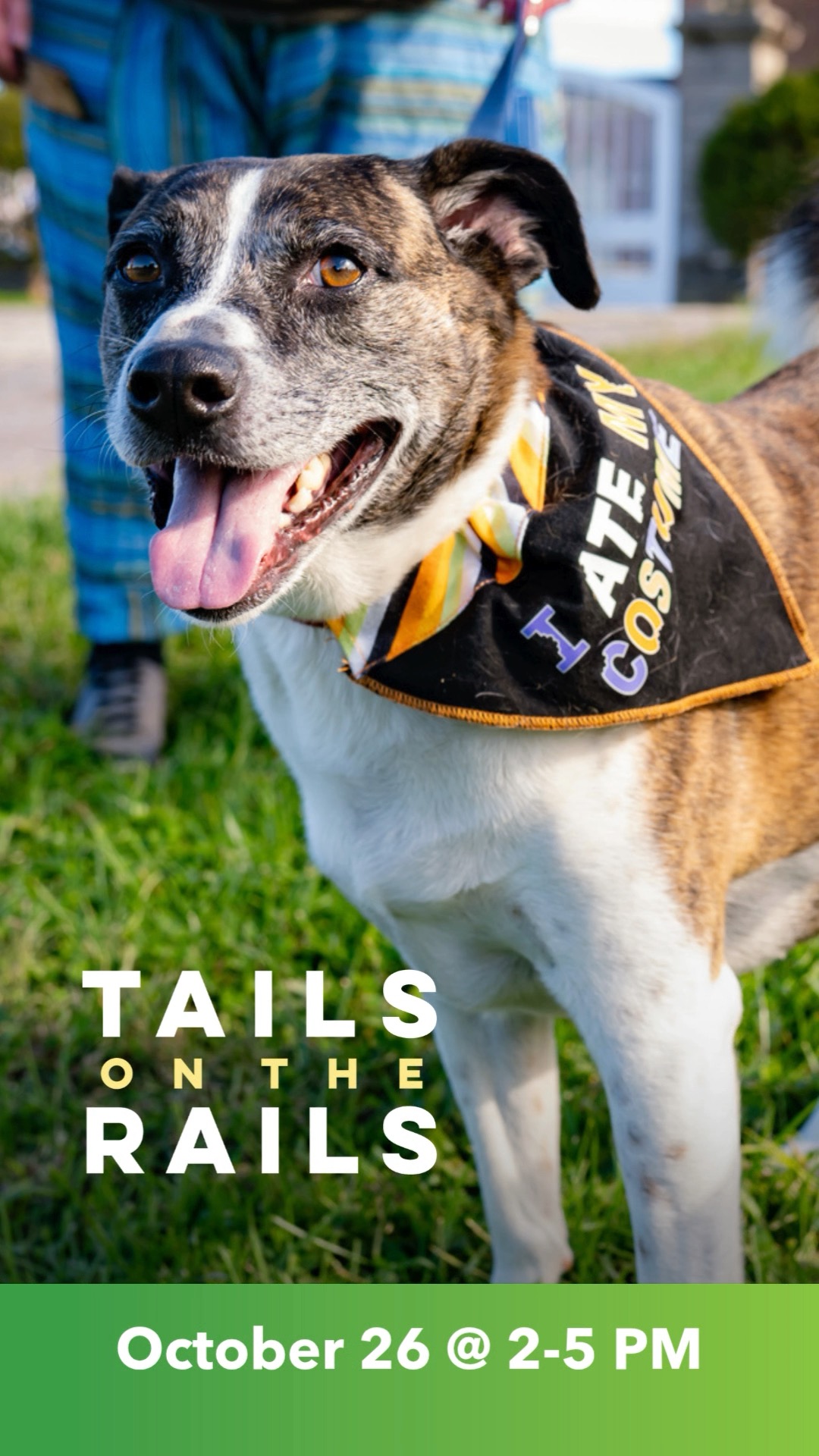 Only two days till the cutest Howl-o-ween event starts! 🐶🎃 Tails on the ...