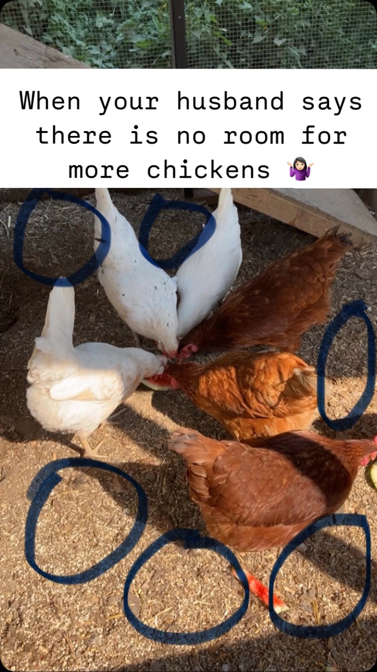 Love love love the idea of the Dutch Door for our Chicken Coop! Now to ...