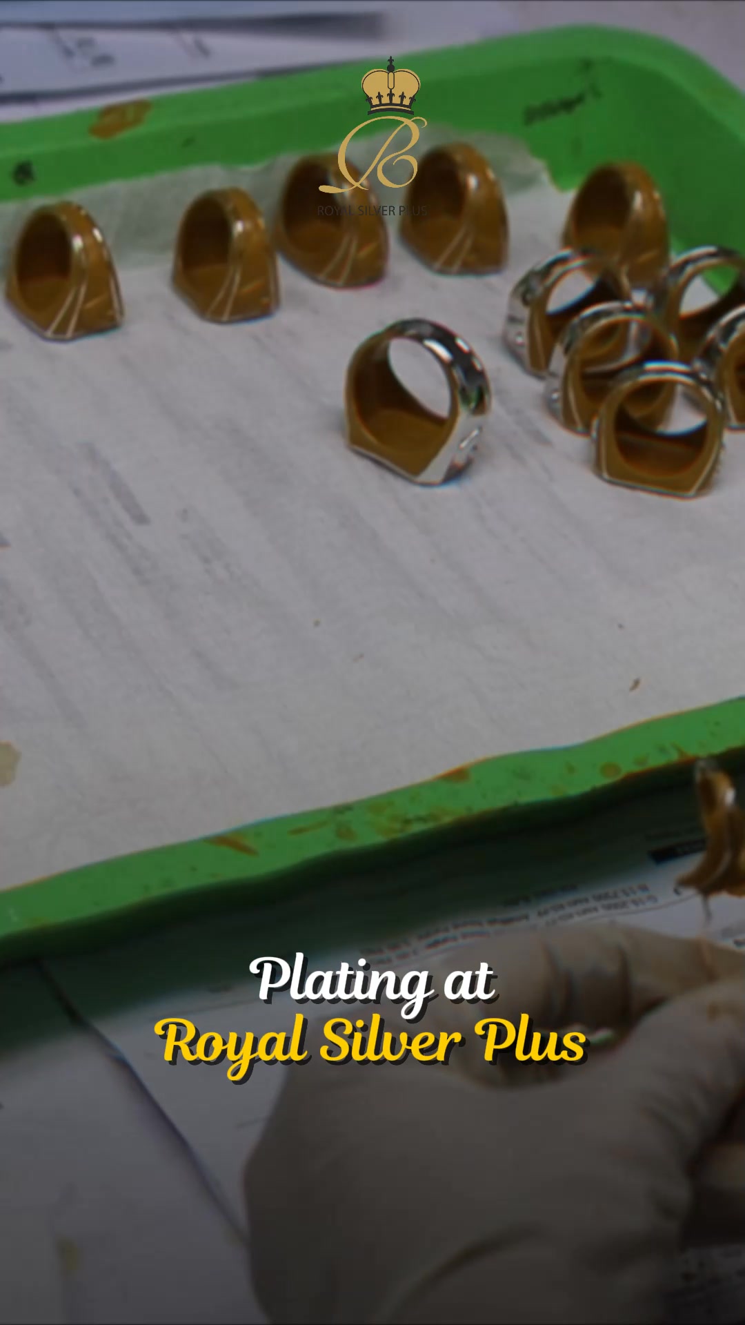 Royal Silver Plus Co, Ltd.... - Royal Silver Plus Co, Ltd.