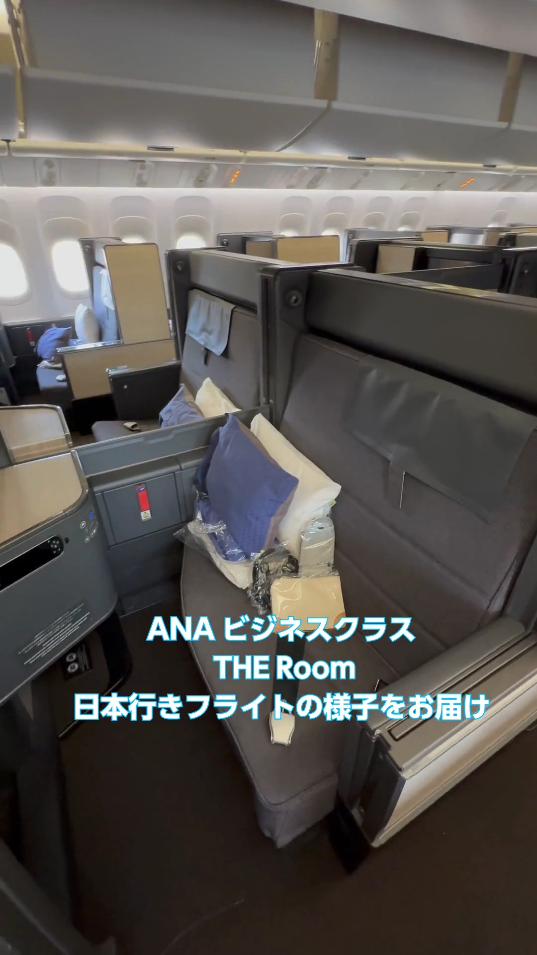 🛫----------------------------------💙 ANAビジネスクラス THE Room