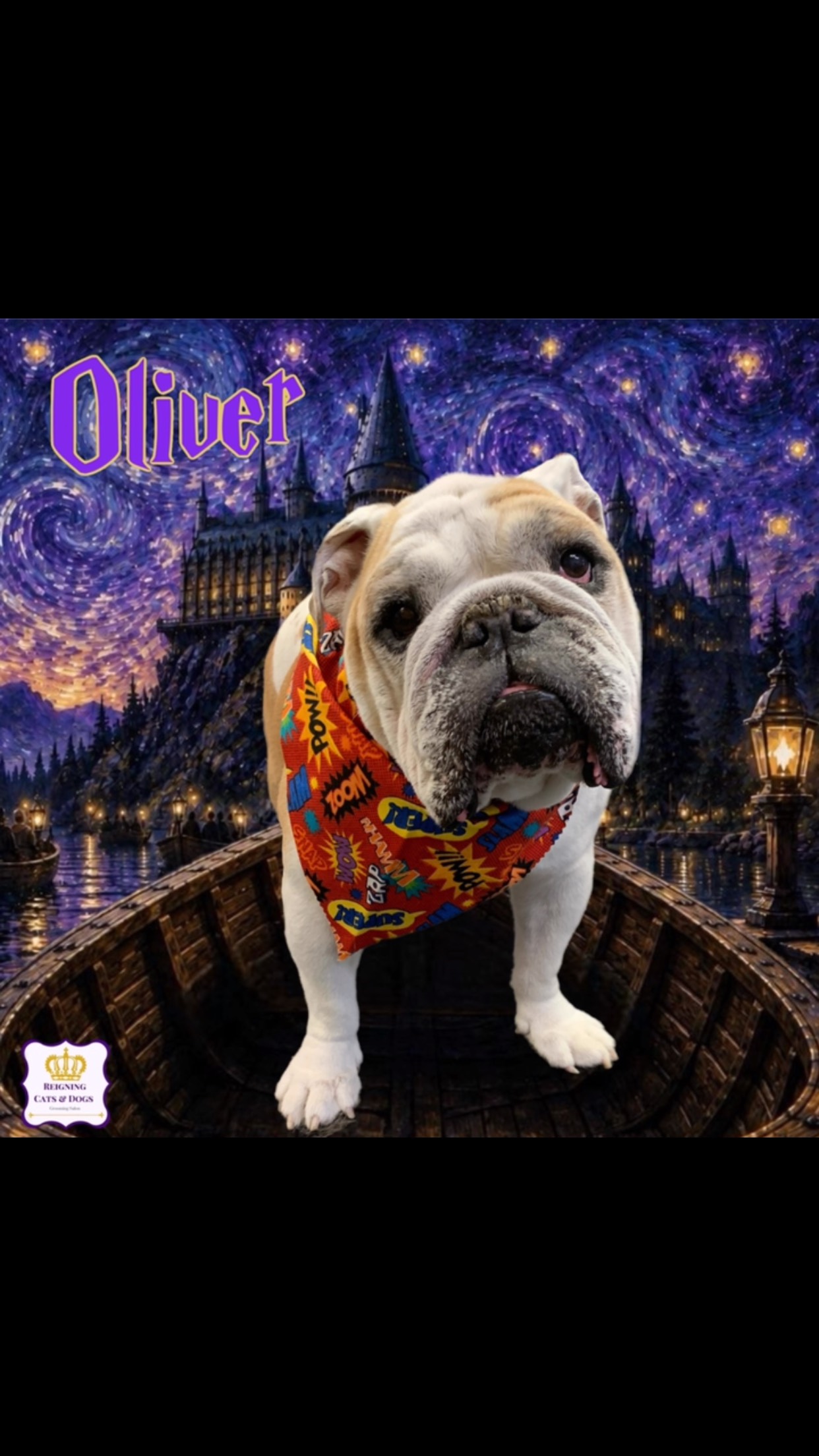 希少　サイン入り　REIGNING CATS & DOGS Reigning Cats & Dogs | Hillsdale NJ