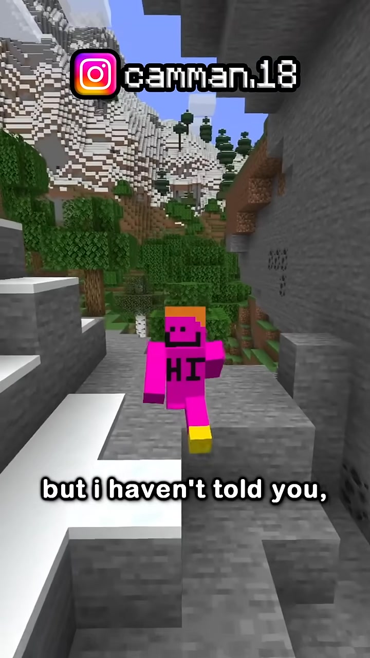 Rarest Spawner in Minecraft
