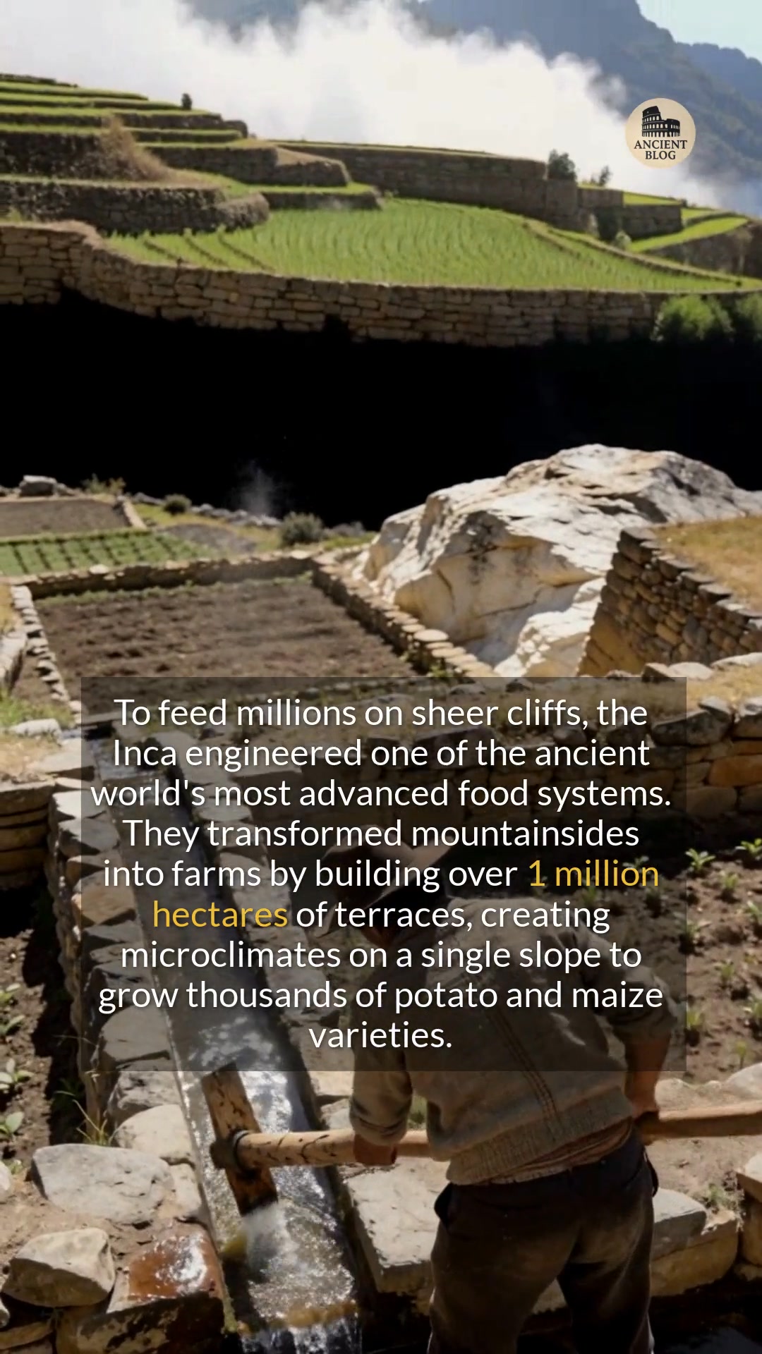 The Incas engineered mountains into farmlands with advanced terraces ...