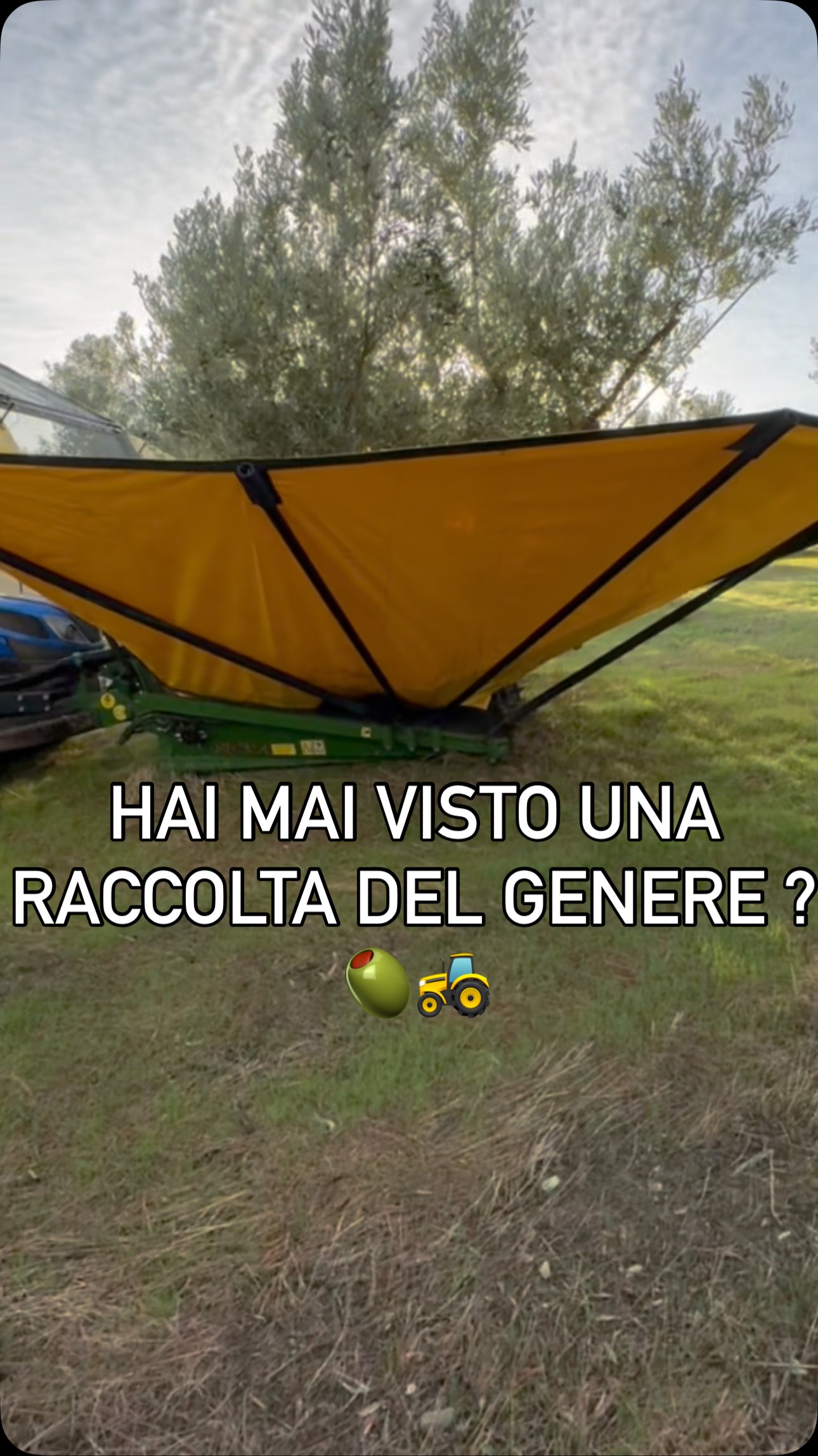 🚜 Così raccogliamo le olive nella nostra azienda! Il nostro scuotitore ...