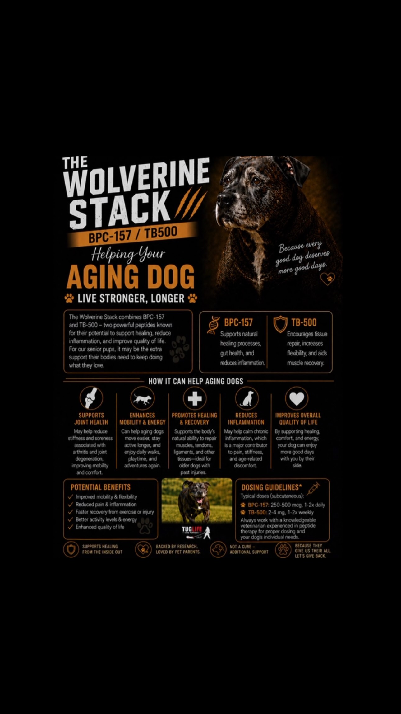 bpc-157 tb-500 stack benefits 🐾 THE WOLVERINE FOR AGING DOGS 🐾, + 💉🐶, As our dogs get older, we want the same thing for them that we want for ourselves — more mobility, more comfort, and more good days. ❤️, Weight Loss From Head