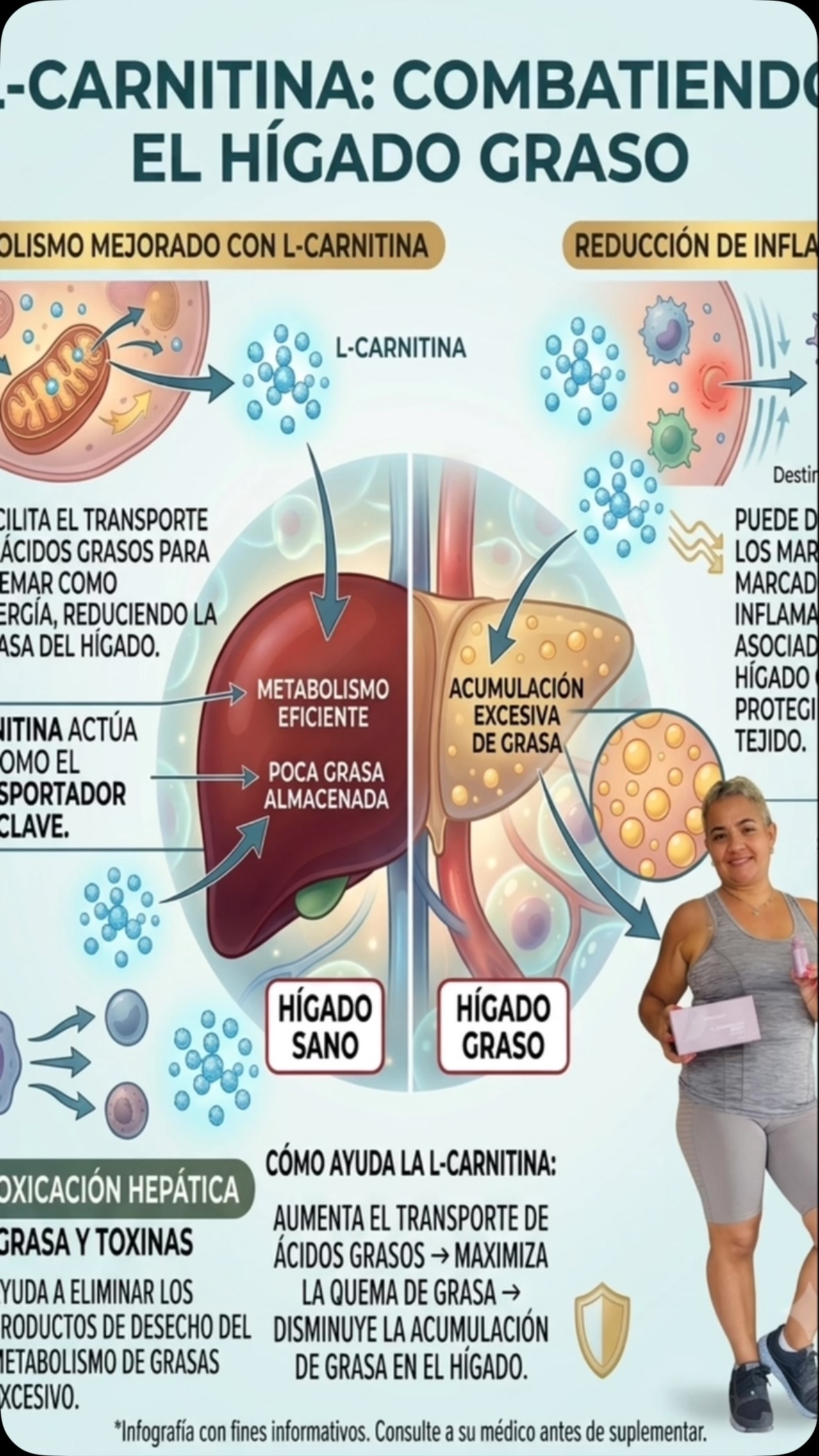 cuanto tiempo tarda en hacer efecto la l carnitina L-Carnitina ¿Cuánto efecto? Normalmente se empiezan a notar mejoras entre 2 y 4 semanas de uso diario. Lo más habitual es: Menos cansancio en cardio. Entreno tirzepatide ipamorelin semaglutide and YOCOMBIE Quantity:5 Vial - Box