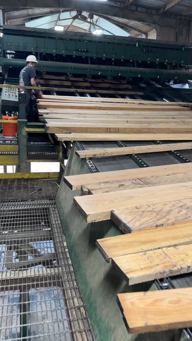 Green lumber headed off to be graded 🪵 #ProducedinTennessee #Trimmer # ...