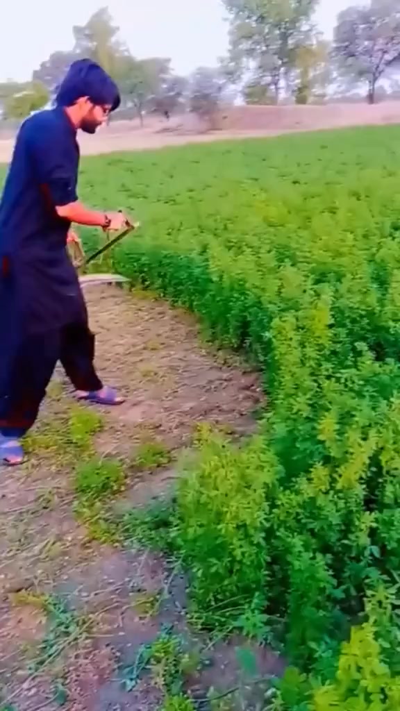 د دماغ څخه کار واخلي🫡🧮🤷‍♂️ #feed #foryou #viral #fyp #explore #reels # ...